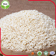 Hulled White Sesame Seed for Export